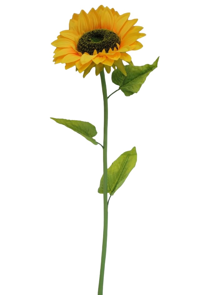 SunFLOWER-1 Head  (41'' Stem/10'' Head)