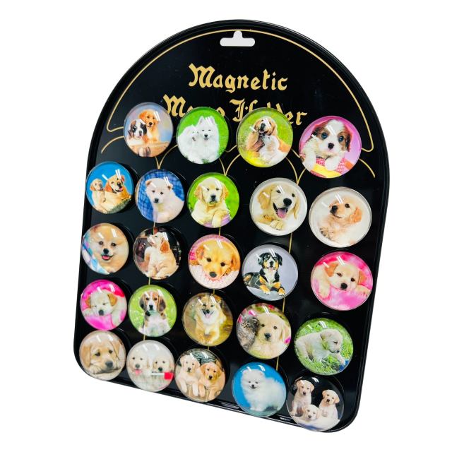 1.5'' Round Dome Magnets [DOGs] with Display Board