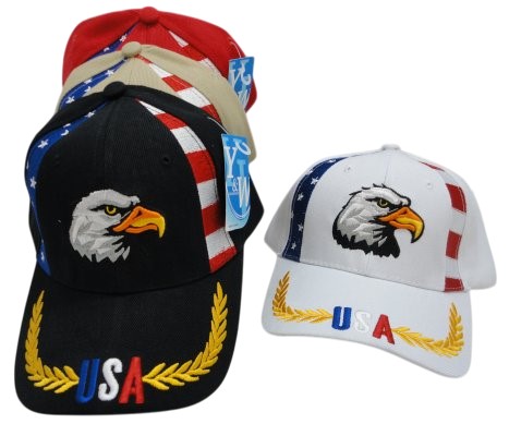 USA EAGLE Hat with Flag Panel