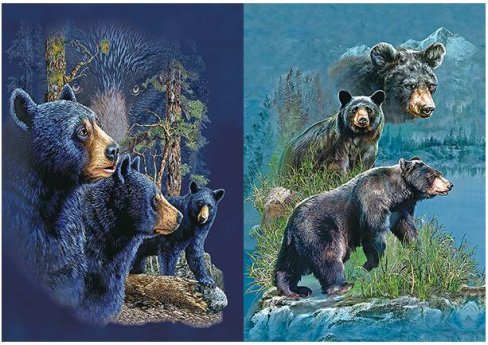 3D Picture 9718--Three BEARs