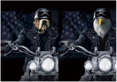 3D Picture 9728--BIKER Bulldog/BIKER Eagle