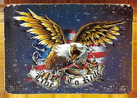 3D Picture 9729--LIVE TO RIDE EAGLE
