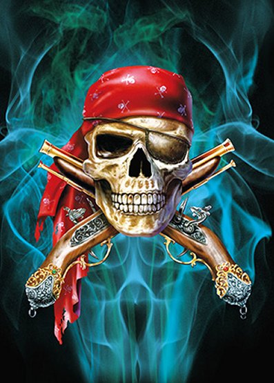 3D Picture 9730--Pirate SKULL