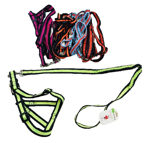 Large Harness and Shock-Absorbing Leash