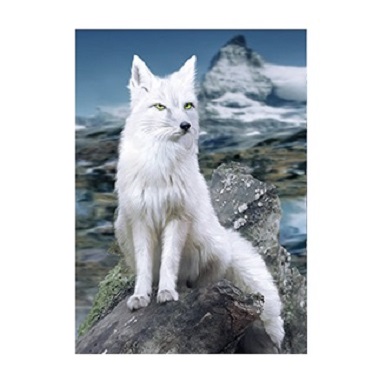 3D Picture 9809--White FOX