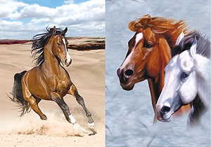 3D Picture 9750--Running Brown HORSE/Two HORSEs