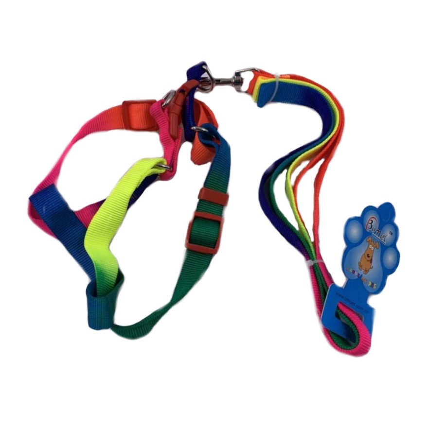 Rainbow DOG Harness with 48'' Leash [Small-Wide]