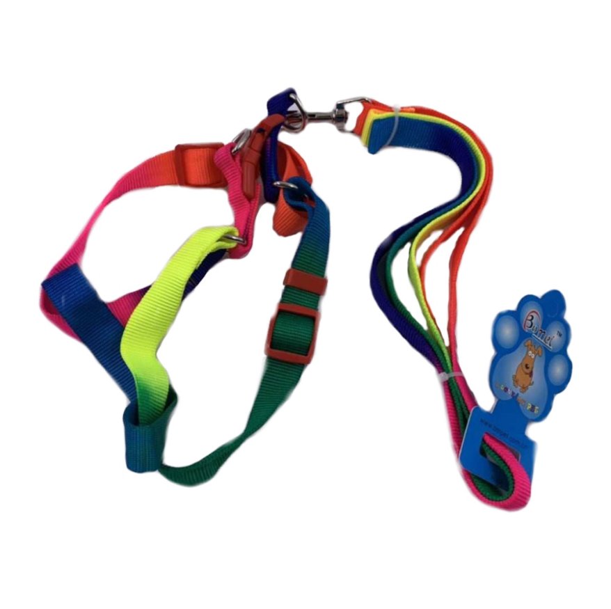 RAINBOW Dog Harness with 48'' Leash [Small-Wide]