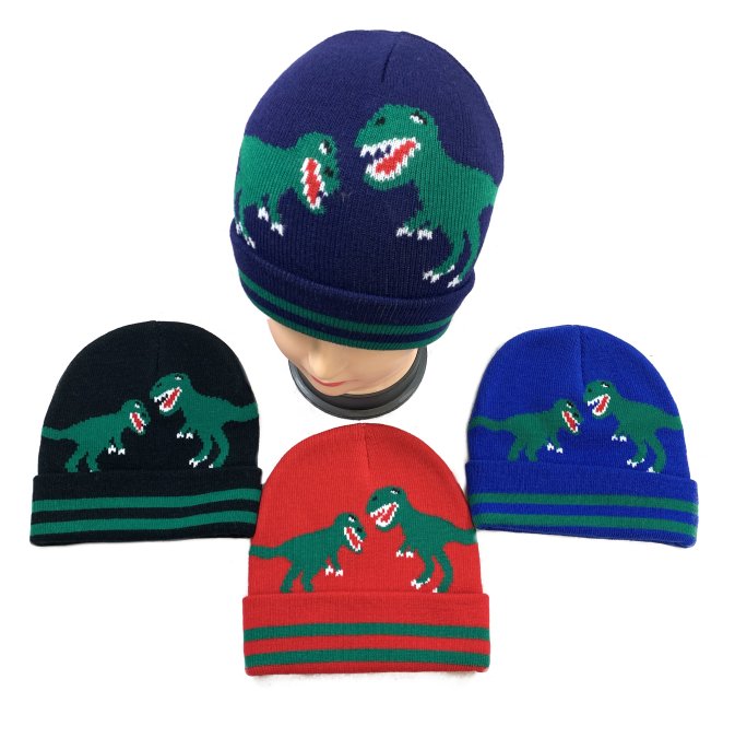 Child's Knitted Cuffed Winter HAT [Dinosaurs]