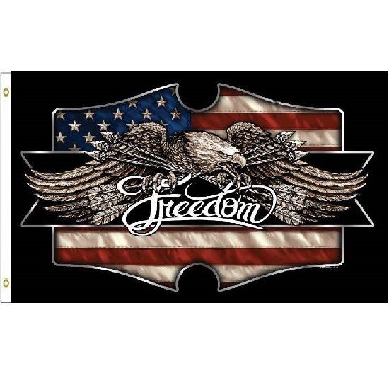 3'x5' Freedom EAGLE Flag