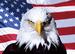 3D Picture 9734--Eagle with FLAG