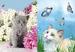 3D Picture 9736--Kitten w FLOWER/Kitten w Butterflies