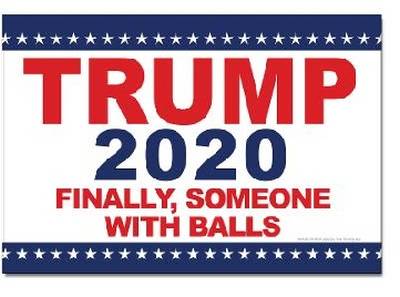 Trump Magnet Rectangle 4 X 6 Someone with Balls