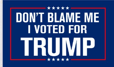 3 X 5 Trump FLAG - Don't Blame Me I Voted For Trump