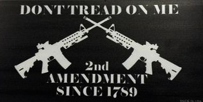 Magnet Dont Tread On Me Guns