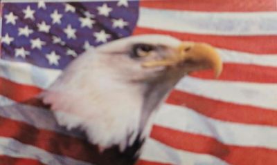 3 X 5 FLAG American FLAG Eagle