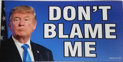 Trump Magnet 4 X 7 Don't Blame Me