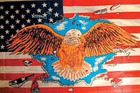 3 X 5 FLAG American Eagle US FLAG