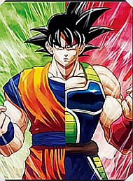 12 X 16 3D Poster - Anime DRAGON Ball Z - Goku