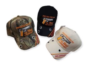 Hat Protected By The 2nd Amendment Assorted