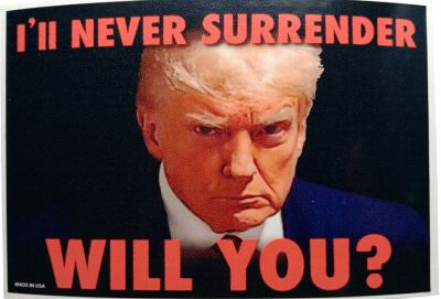 STICKER - 4 X 6 Rectangle Trump Mugshot Never Surrender