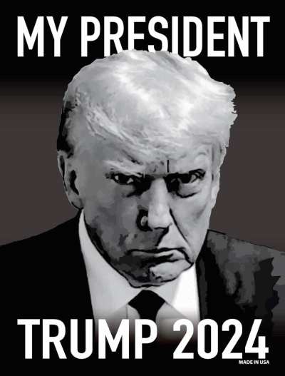 Trump Magnet 4 X 6 Mugshot My President