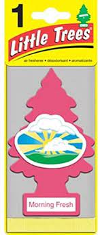 Little Tree AIR Freshener Morning Fresh 24/Box