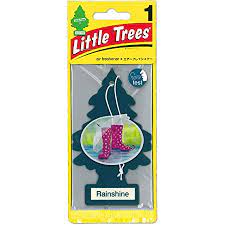 Little Tree AIR Freshener RainShine 24/Box
