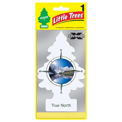 Little Tree AIR Freshener True North 24/Box