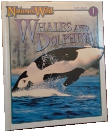 (Y) Children BOOK:Whales & Dolphins. Hard Cover
