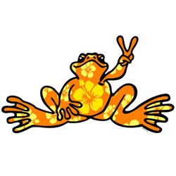 PEACE FROGS SMALL ORANGE HIBISCUS STICKER