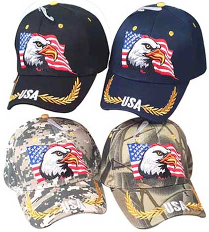 CAP677 Eagle Flag 2C