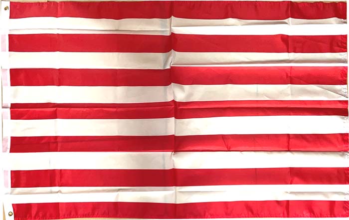 FLG972N Sons of Liberty FLAG