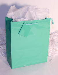 GIFT BAG EURO - MINT GREEN - SMALL - 6''x4''x2'