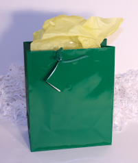 GIFT BAG - FESTIVE GREEN - JUMBO - 21'' x 17'' x 7''