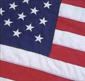 American FLAG On A Stick (medium)