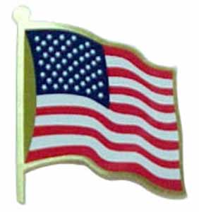 Pins (American FLAG)