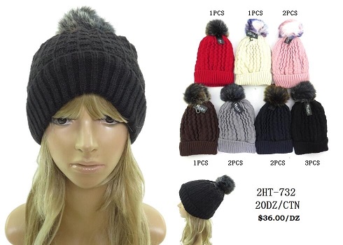 Single Pom Pom Solid Pattern Dual layered BEANIE