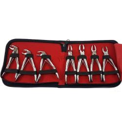 Extracting Forcep For Children, Dental Instruments