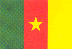 3X5 CAMAROON FLAG