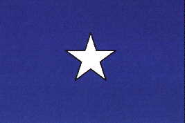 3X5 BONNIE BLUE FLAG