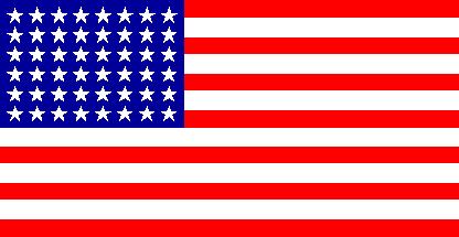 3X5 48 STARS FLAG