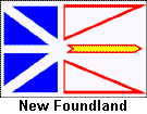 3X5 NEW FOUNDLAND FLAG