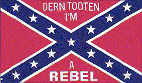 3X5 Rebel Dern Tooten FLAGS