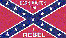 3X5 REBEL Dern Tooten FLAGS