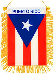 PUERTO RICO FLAG MINIBANNERS