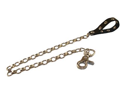 RING Connect Swivel Snap Chain Leash