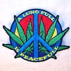 LUNG FULL PATCH