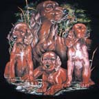 RETRIEVER AND PUPPIES DOGS SHORT SLEEVE TEE SHIRT * CLOSEOUT 2.50