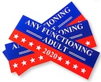 ANY FUNCTIONING ADULT 2020 POLITICAL ELECTION BUMPER STICKER